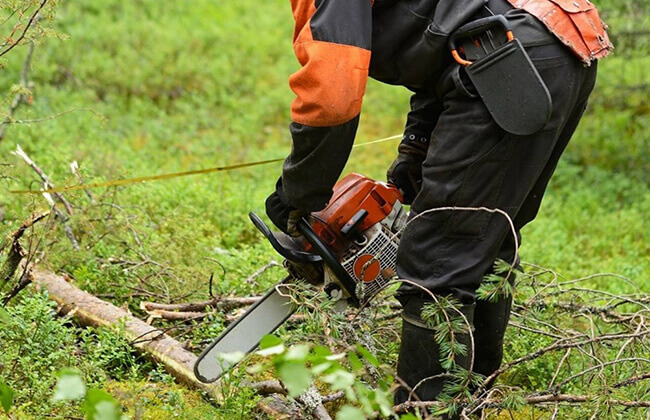Safety tips and tips on starting a gasoline chainsaw