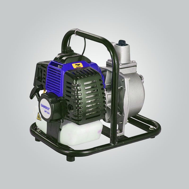 4 inch gas water pump